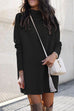 Camilladress Solid Crewneck Long Sleeve Knit Dress