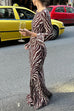 Camilladress Boat Neck Bell Sleeves Animal Print Maxi Dress