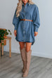 Camilladress Curve Hem Button Down Denim Shirt Dress