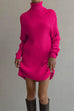 Camilladress Turtleneck Raglan Sleeves Ribbed Knit Mini Sweater Dress