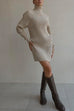 Camilladress Turtleneck Raglan Sleeves Ribbed Knit Mini Sweater Dress